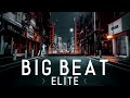 Big Beat Elite Fatboy Slim Krafty Kuts Freestylers Lo Fidelity Allstars Herbaliser mp3