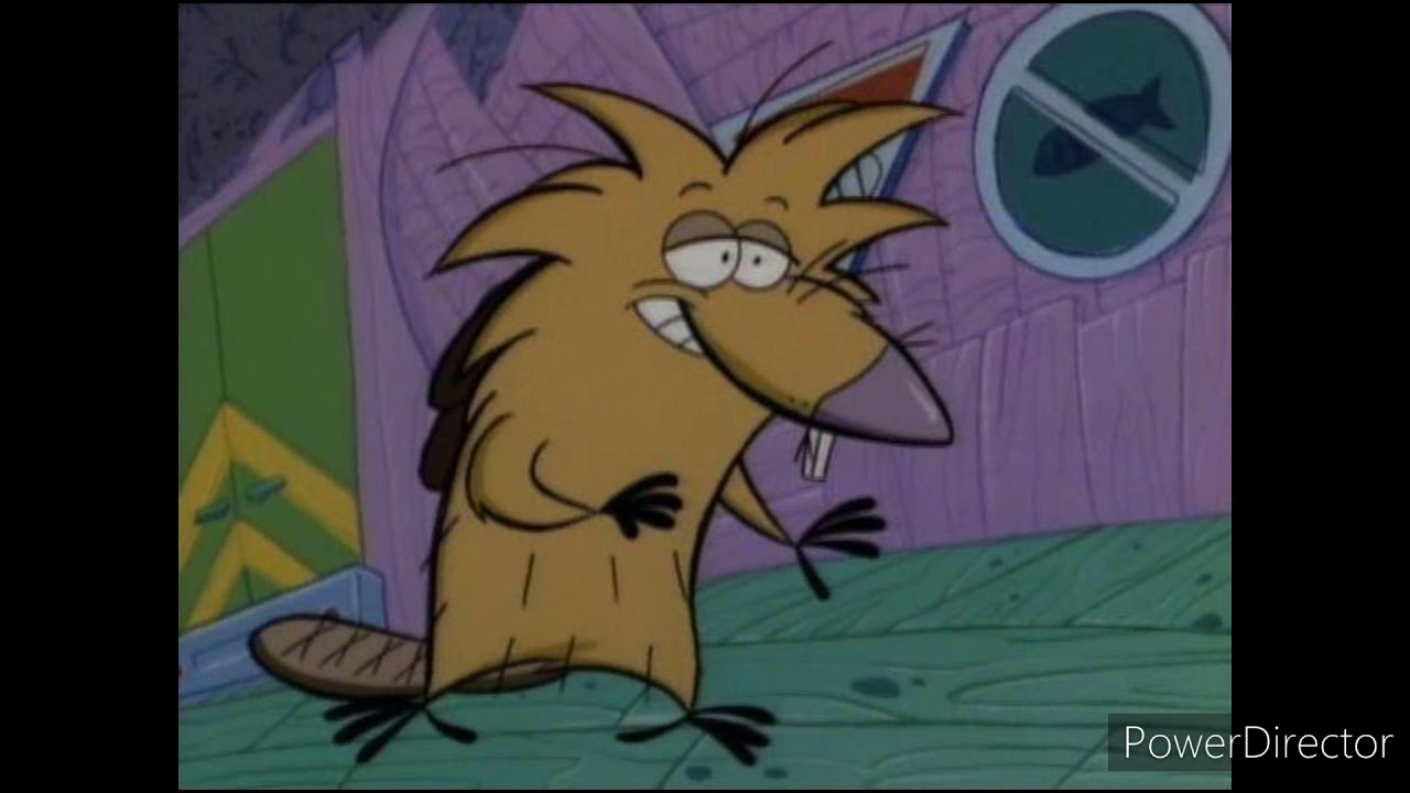 крутые бобры норберт