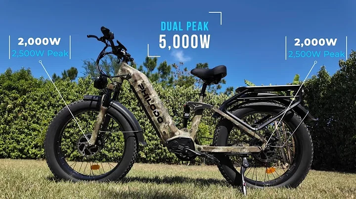 The Most Affordable 60V Ebike, 5000W – Philodo Falcon