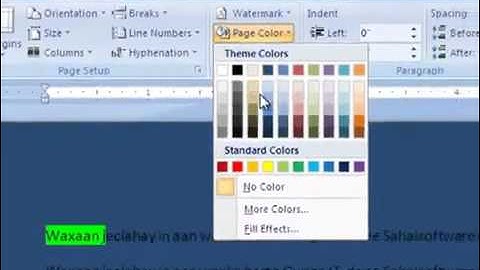 Lesson 19 Drop cap And Page color - Microsoft Word - Sahalsoftware