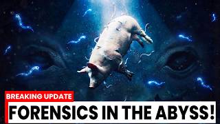 Researchers Dropped a Pig Into the Deep Ocean — They Weren't Prepared for What Arrived