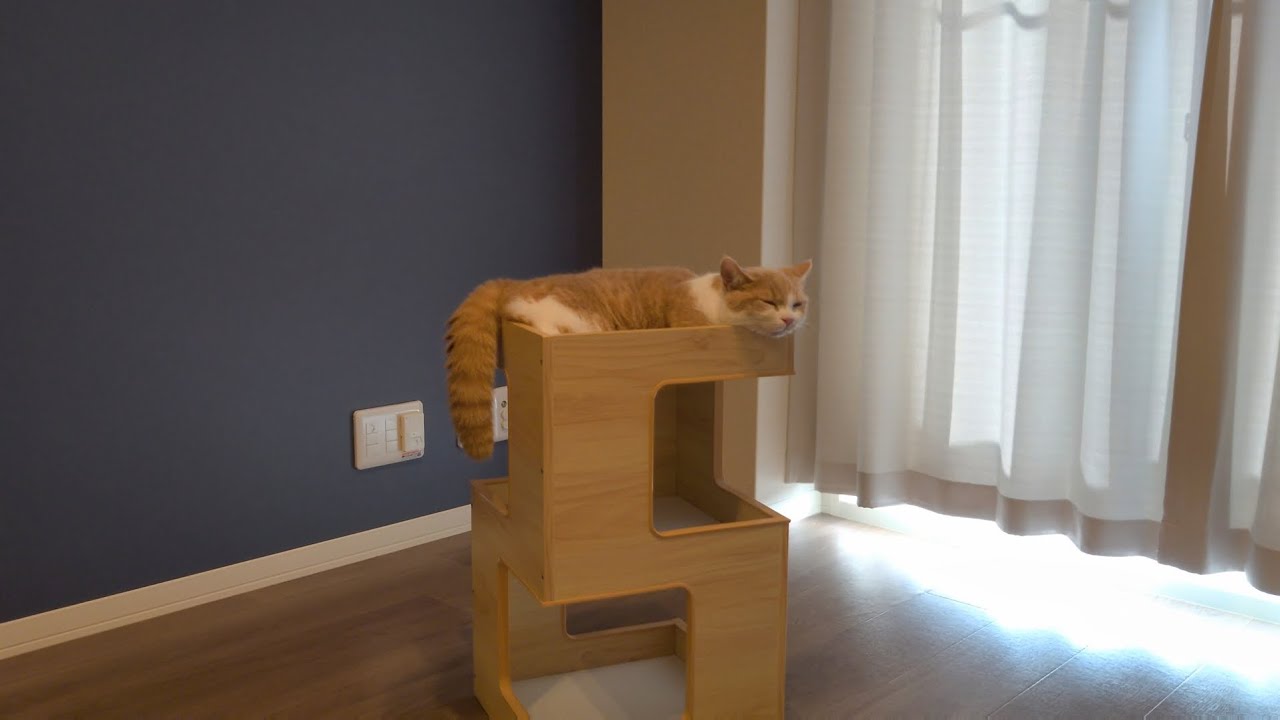 2016 コジローのおひとり様時間 YouTube