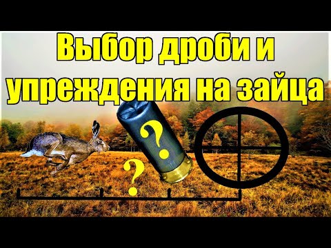 Дробь на зайца и лису в 2024. Упреждение/Вынос при охоте на зайца.