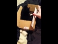 Black kitty playing in a BOX