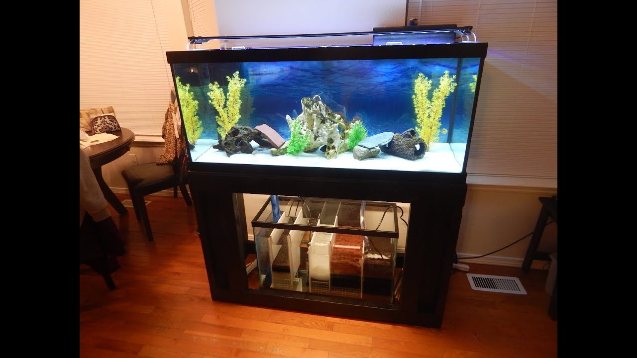 freshwater tank with sump