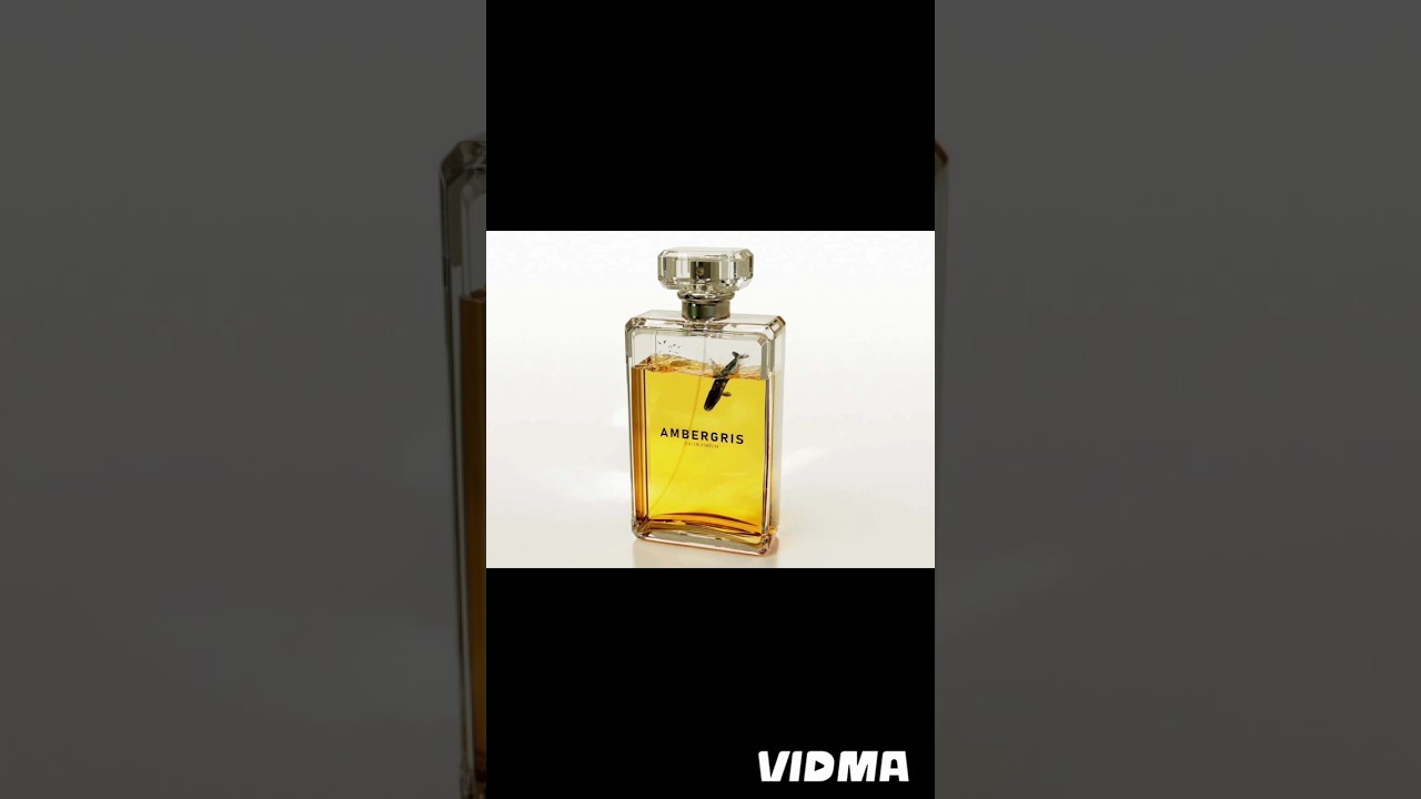 ambergris ഇത്ര expencive ആയത് എന്ത് കൊണ്ട് ഇത്‌ കൈ വെച്ചവരെ കസ്റ്റംസ് പോകുന്നതിതു കൊണ്ട് 🐳