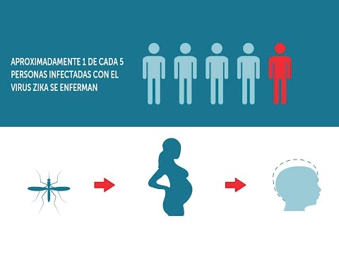 Vídeo: ¿Está Presente El Virus Zika En México Y América Central?