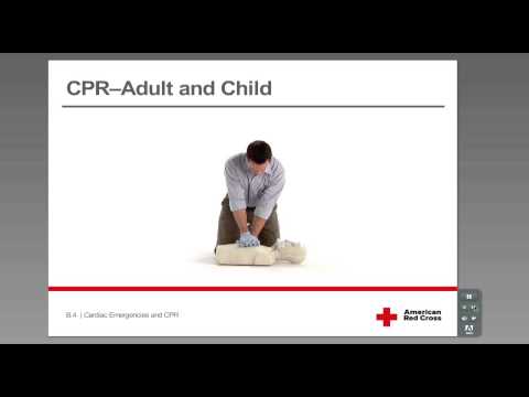 CPR - Adult & Child