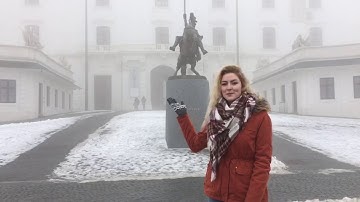 Work and Travel - introduction video