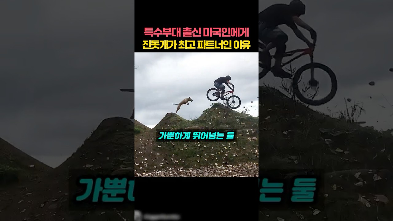 특수부대 출신 미국인에게 진도믹스가 최고의 파트너가 된 이유
