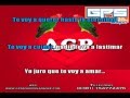 Agapornis - Hasta el final cumbia Karaoke (Guillermo Perdigon Sonido)
