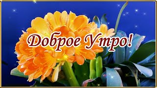 С ДОБРЫМ УТРОМ!💖КРАСИВОЕ ВИДЕО ПОЖЕЛАНИЕ С ДОБРЫМ УТРОМ!💌🌺🌺🌺🌺🌺🌺🌺🌺🌺🌺🌺🌺🌺🌺🌺🌺🌺🌺🌺🌺🌺🌺🌺🌺🌺🌺🌺🌺🌺🌺🌺 С ДОБРЫМ УТРОМ!💖КРАСИВОЕ ВИДЕО ПОЖЕЛАНИЕ С ДОБРЫМ УТРОМ!💌🌺🌺🌺🌺🌺🌺🌺🌺🌺🌺🌺🌺🌺🌺🌺🌺🌺🌺🌺🌺🌺🌺🌺🌺🌺🌺🌺🌺🌺🌺🌺