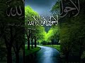 Quran Urdu translation surah #youtubeshosts #quranictranslation #motivation #history #duet #quotes