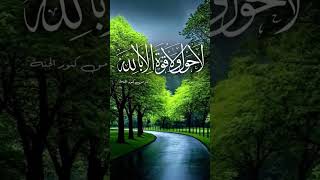Quran Urdu translation surah #youtubeshosts #quranictranslation #motivation #history #duet #quotes