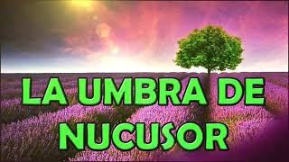 Tudor Diaconu  La Umbra De Nucusor