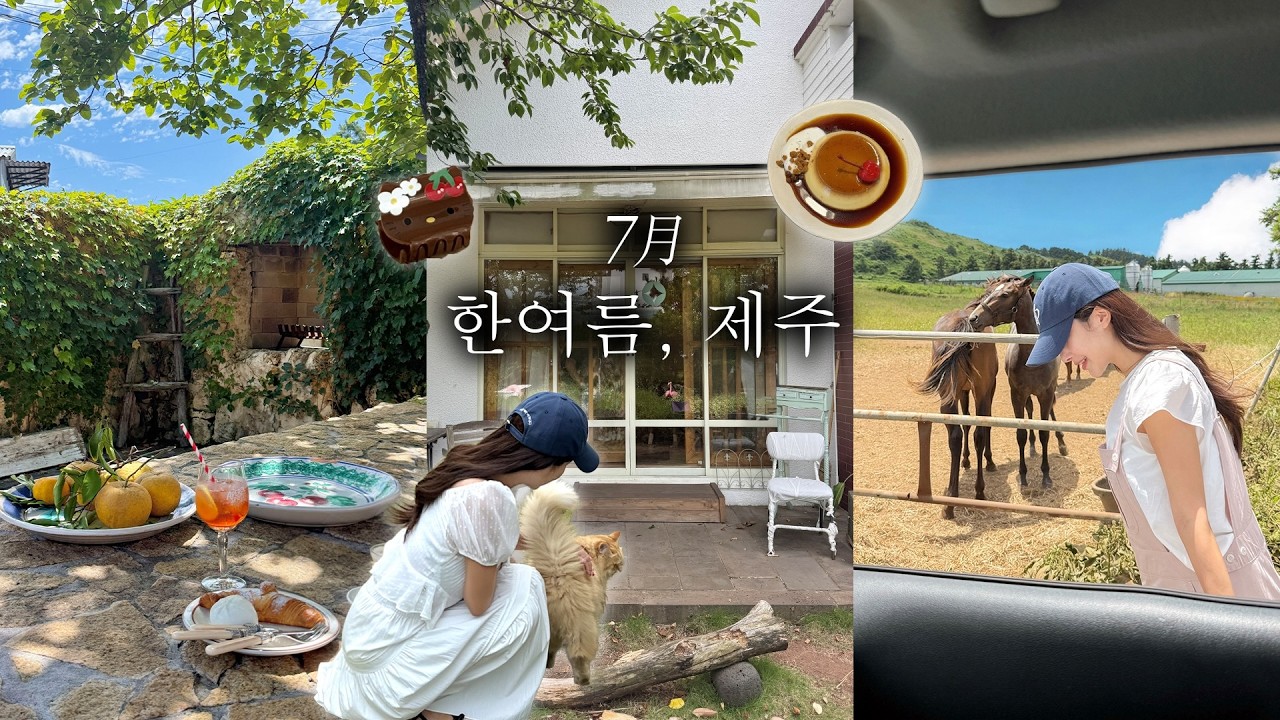 올해 제주도만 5번째, 동서남북 제주도 완벽 코스 vlog🍀 (가성비 오션뷰 숙소.비올때 가기 좋은 곳.물놀이 스팟.신상카페)