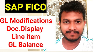 How to Modify Document FB02 | Document Display | Line item & Balance