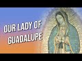 Our Lady of Guadalupe - Br. Ruben Veloz, MIC