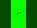 Bird Flying Green Screen Shorts Moon Edit Automobile Astronomy Fishing Animation Bird Flying Green Screen Shorts Moon Edit Automobile Astronomy Fishing Animation