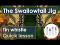 Learn The Swallowtail Jig on Tin Whistle | Quick Lesson with Tabs (Irish Tune)