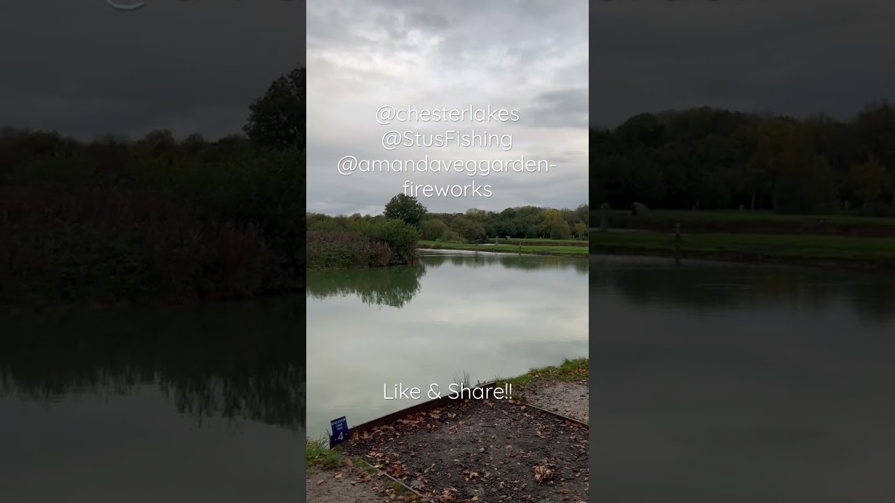 Fishing Chester Lakes Stu’s Fishing carp fishing fish YouTube