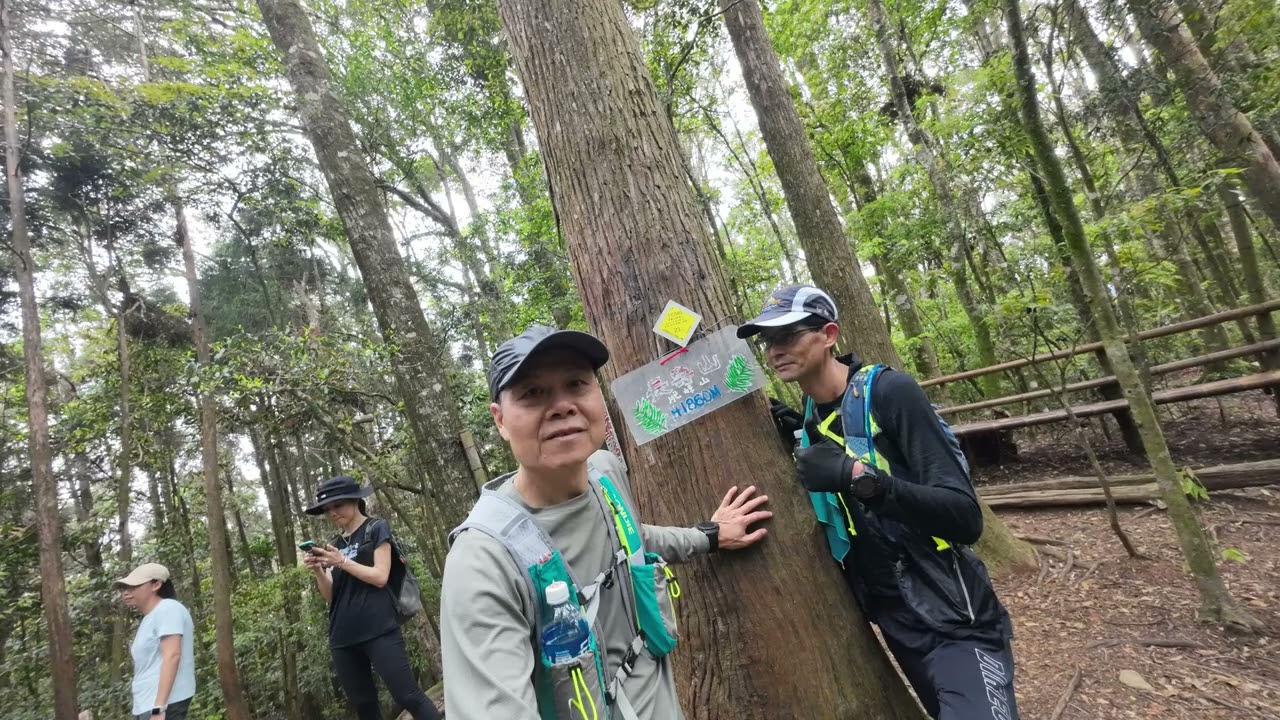 鳶嘴西稜三山，大崠山、長壽山(肥崠山)、醜崠山，林相優美的香杉林，優閒行走的藍腹鷴、灑落滿地白色及粉色杜鵑花。