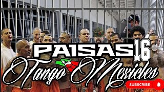 Paisa16; Tango Mexicles vs PRM, Border Brothers #Cartel