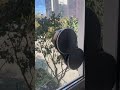 Вот так быстро проходит уборка