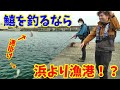 今年は早いぞ！キス釣り開幕！簡単に釣るなら浜より漁港⁉