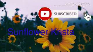 Intro for my sunflower squadddddd