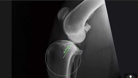 8- Circle tool and Common Tangent in vPOP-pro !