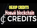 Обзор Credits.  Новый blockchain! Децентрализованная финансовая система!