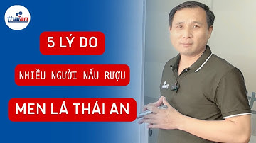 Tìm Hiểu 5 Sự Khác Biệt Chỉ Có Ở Men Lá Thái An - Rượu Thơm Ngọt Hậu