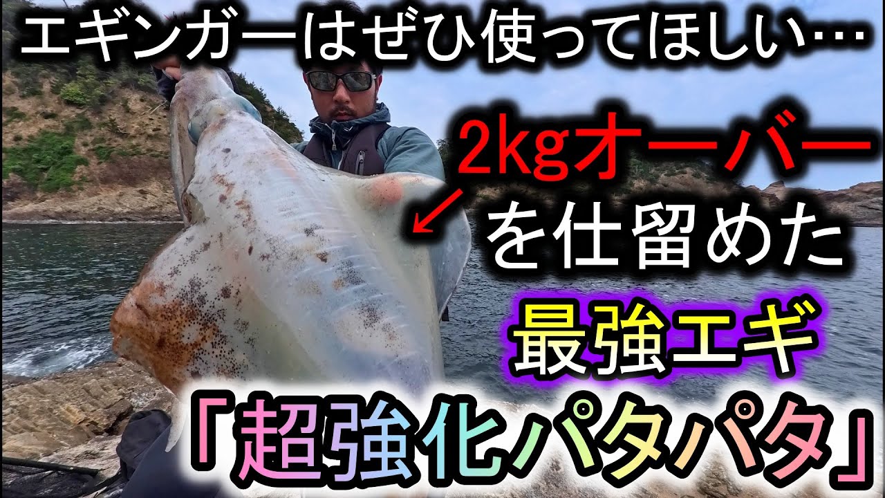 すでに品薄…2㎏越え大型イカを簡単に仕留めた「超強化パタパタ」。これヤバすぎます【エギング】