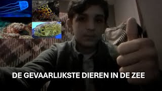 DE GEVAARLIJKSTE DIEREN IN DE ZEE