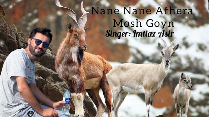 Nane nane afhera mosh goyn | chitrali folk song | chitrali song 2023 | khoware new | Imtiaz Asir ||