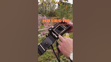 Loading MEDIUM Format Film