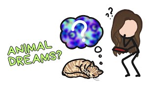 Do Animals Dream? | Science Minute