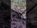 Manual Soil Auger