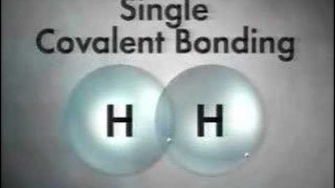 Covalent Bond