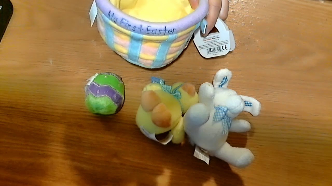 BABY EINSTEIN WATERFALL RAIN STICK MARBLE ZEBRA STUFFED PLUSH RATTLE TOY