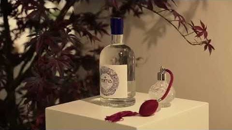 The Lidl House of Hortus Gin Pop-Up