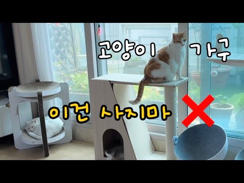 (내돈내산)고양이 가구 이건 사지마세요❌ 추천템, 망한템