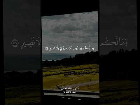 الم تعلم ان الله له ملك السموات والارض القارئ هيثم للدخين