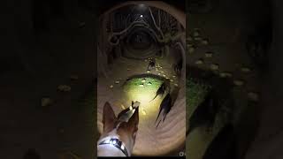 Dog find something special 😱.     #video #ai #explore #like #viral