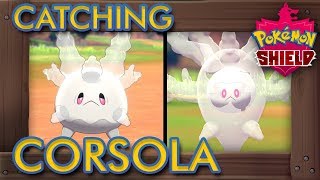 Pokémon Sword \& Shield - How to Catch Corsola \&  Evolve it into Cursola