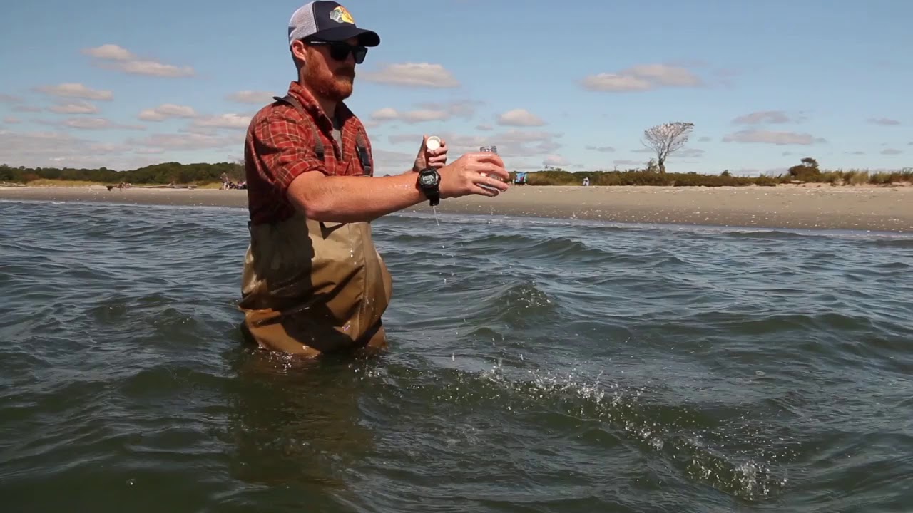 CT Beach Monitoring Program