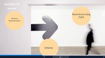 PSY213 Lecture 12
