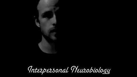 Allan Schore. Empathy. Fight, Flight, Freeze. Relationship.