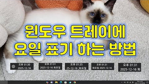 내 컴퓨터는 요일도 나온다~! 윈도우 우측 하단 트레이에 요일 표기하는 방법입니다 #윈도우 #윈도우팁 #윈도우11